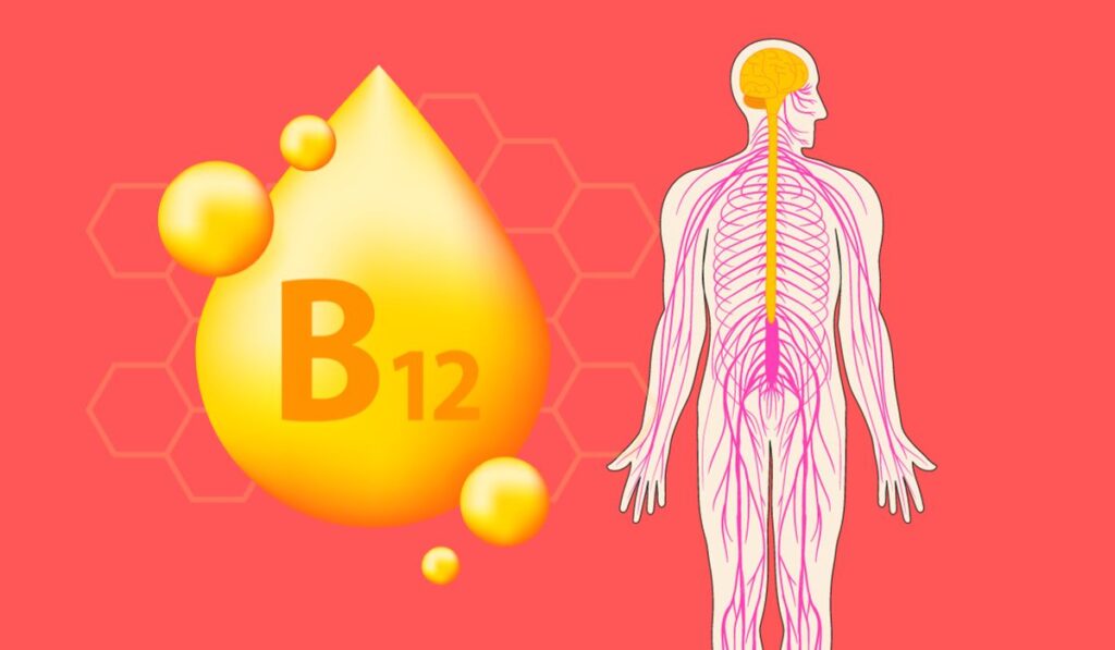 فوائد فيتامين b12 للأعصاب ، هل فيتامين ب12 يعالج التهاب الاعصاب؟ ما هو افضل مكمل غذائي للاعصاب؟ ما هو الفيتامين المسؤول عن التهاب الاعصاب؟