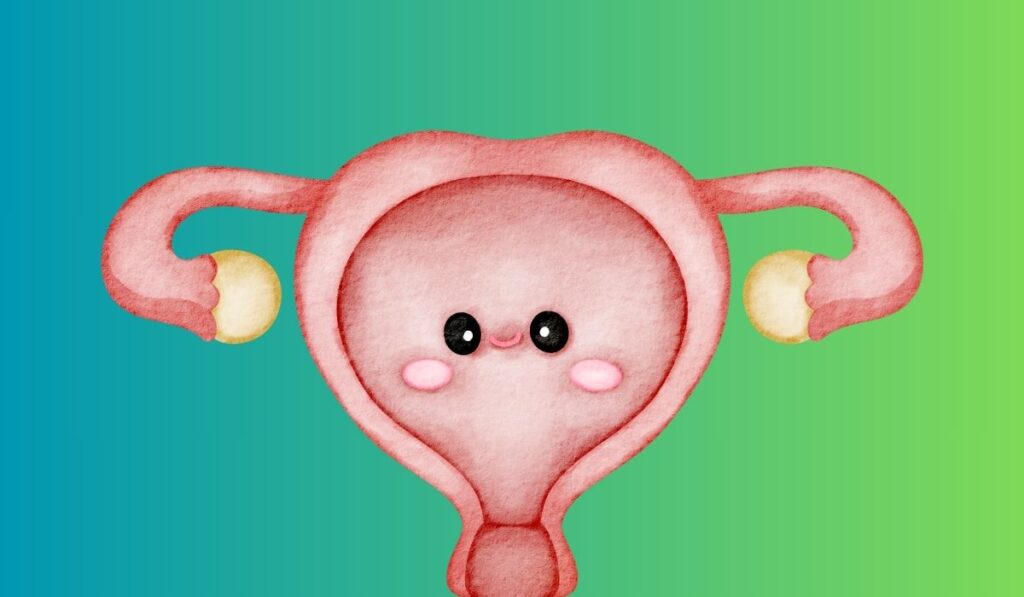 هل تضخم الرحم يعني وجود حمل ، هل تضخم الرحم يدل على الحمل؟ هل إذا كانت بطانة الرحم سميكة يعني حمل؟ ماذا يفعل تضخم الرحم؟